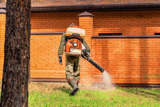 Bed Bug Clearance Verification and Documentation in Osakis